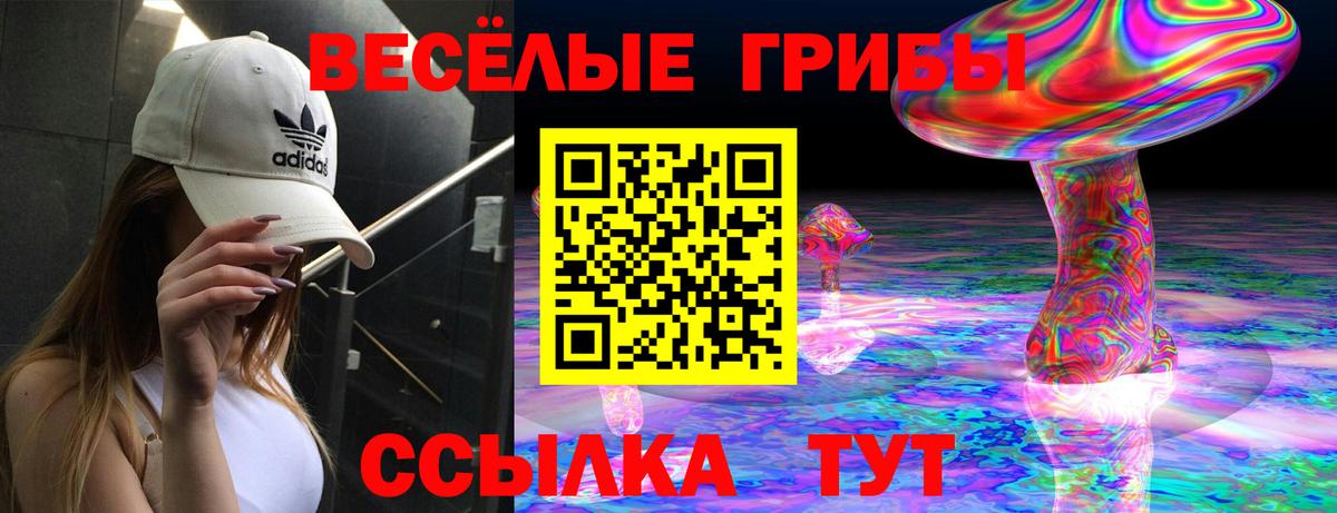 Галлюциногенные грибы прущие грибы Осинники