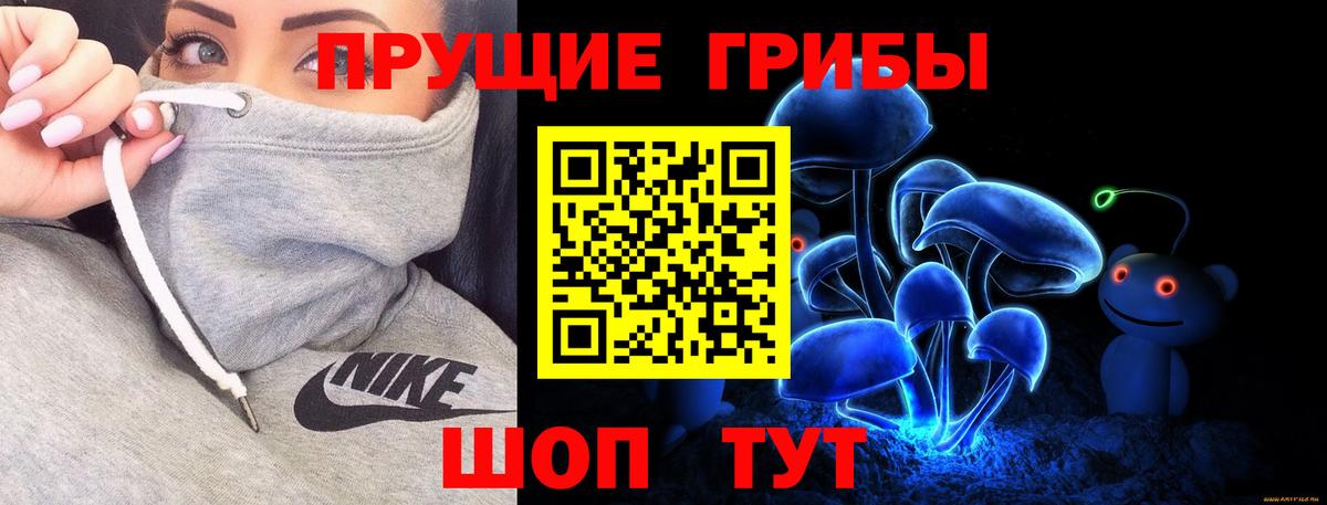 что такое наркотик  Вход с VPN  Осинники  Галлюциногенные грибы Psilocybe 