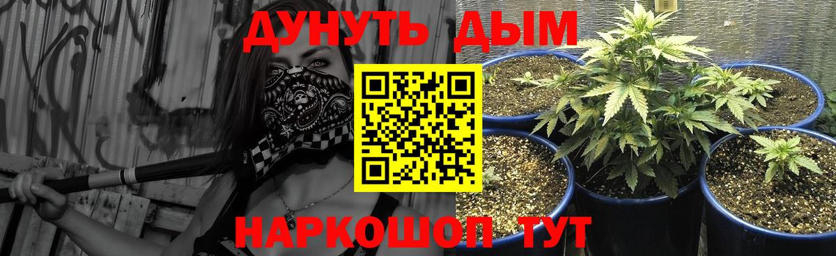 Бошки марихуана план  Вход с VPN  Осинники  Бошки Шишки VHQ  Конопля OG Kush  Каннабис Ganja 